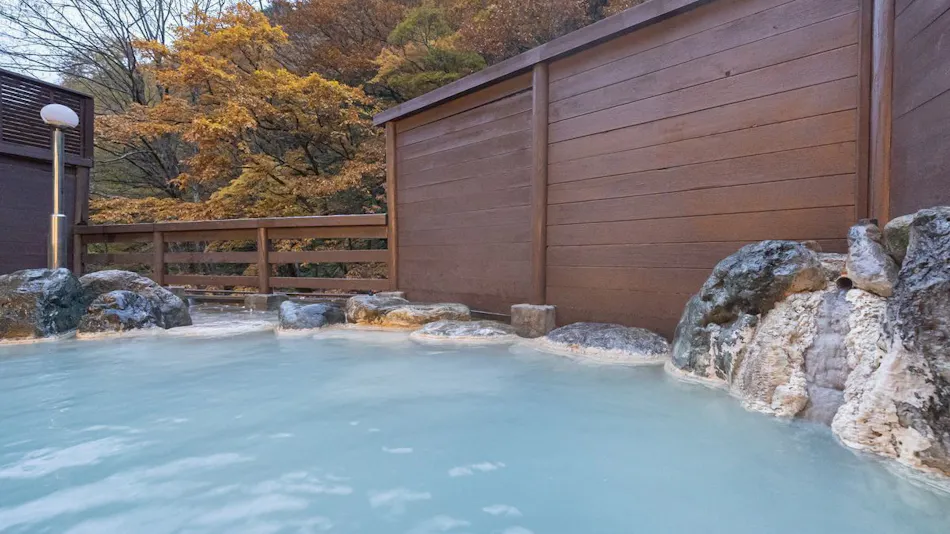 Shirahone Onsen Oyado Tsuruya