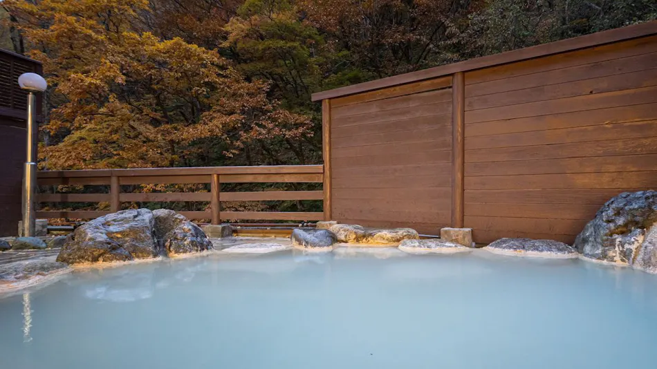 Shirahone Onsen Oyado Tsuruya