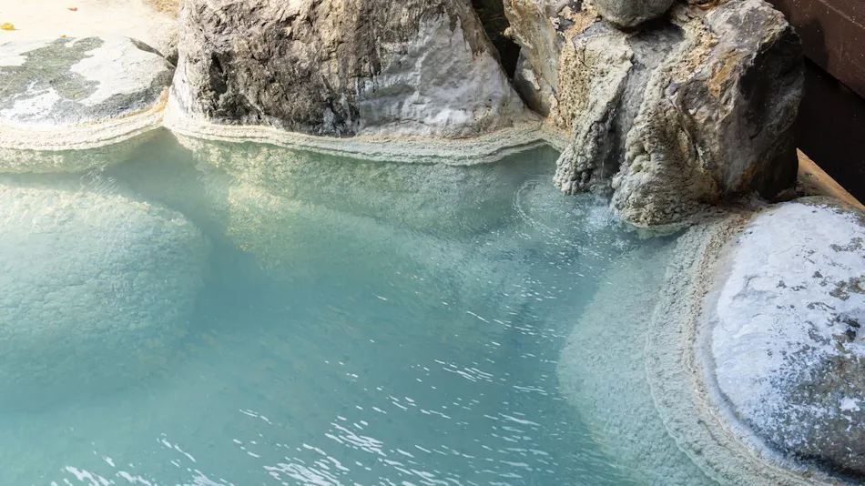 Shirahone Onsen Oyado Tsuruya