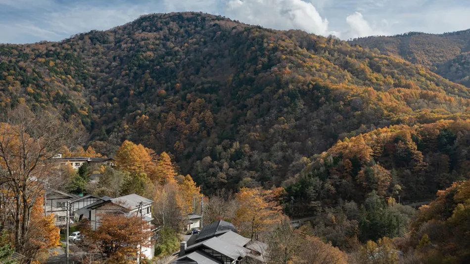 Shirahone Onsen Oyado Tsuruya