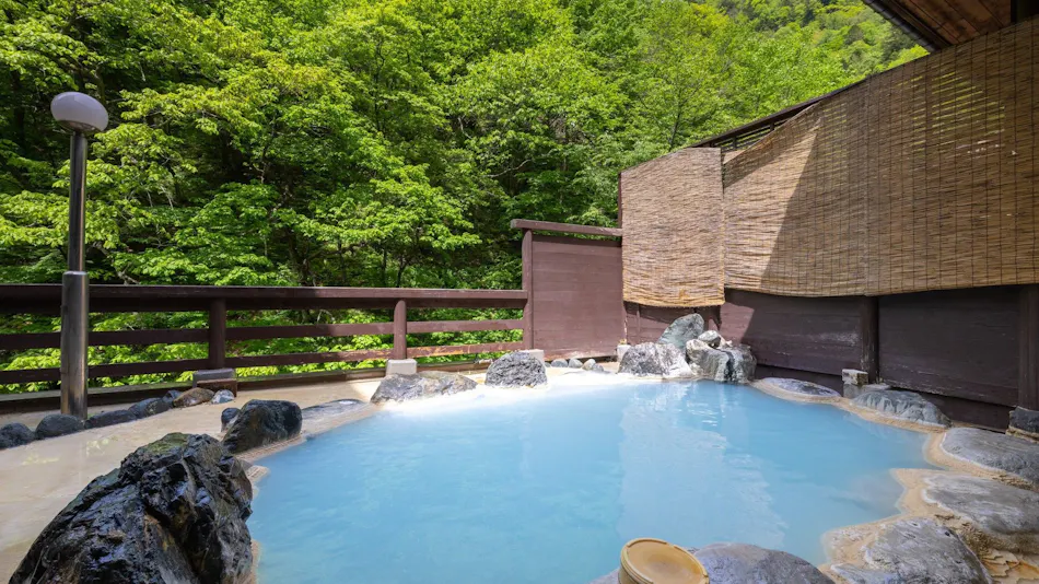 Shirahone Onsen Oyado Tsuruya