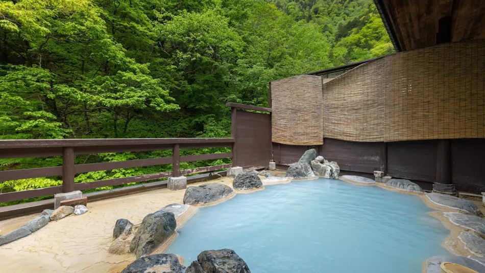 Shirahone Onsen Oyado Tsuruya
