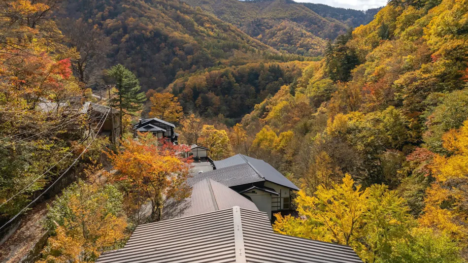Shirahone Onsen Oyado Tsuruya