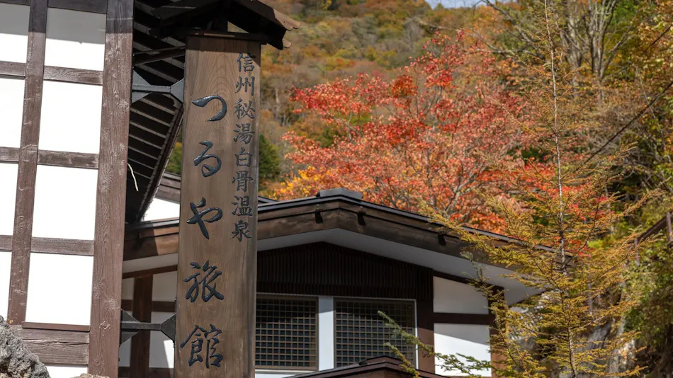 Shirahone Onsen Oyado Tsuruya