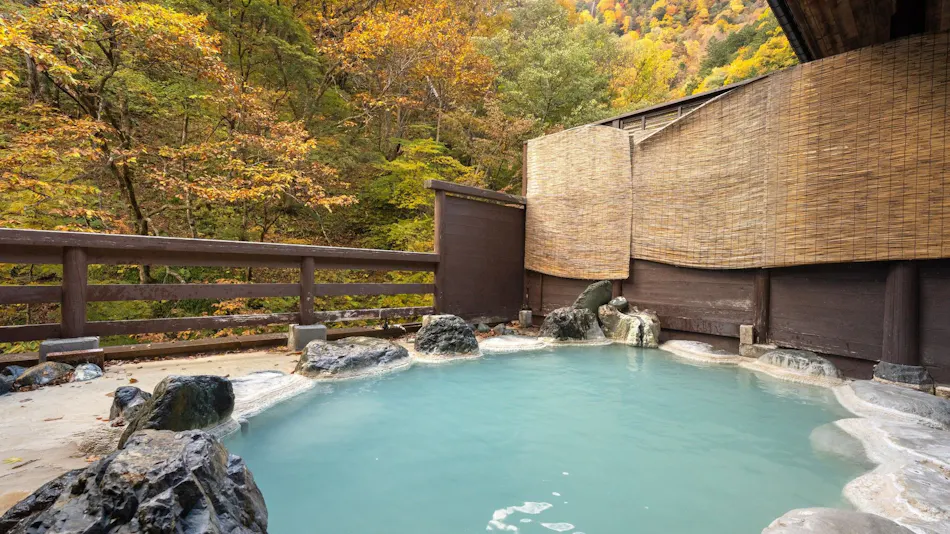 Shirahone Onsen Oyado Tsuruya