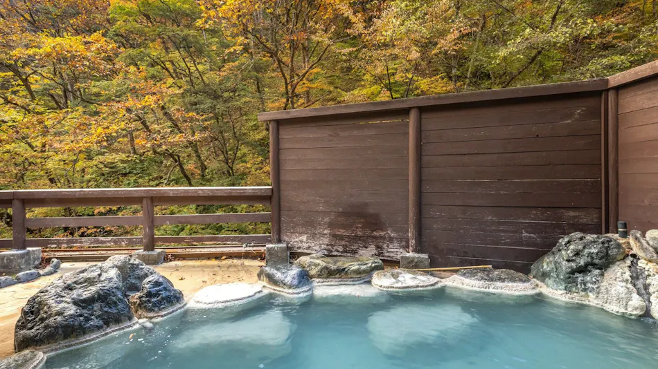 Shirahone Onsen Oyado Tsuruya
