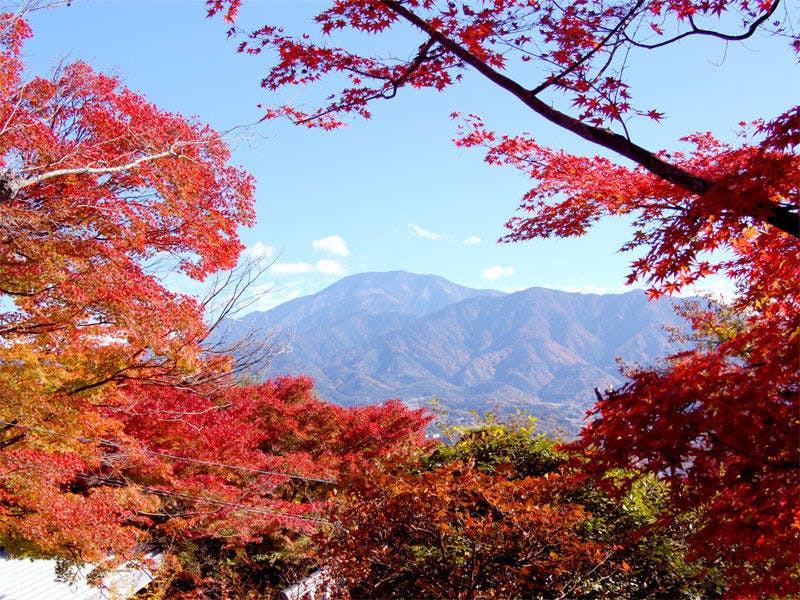 夜がらす山荘 長多喜
