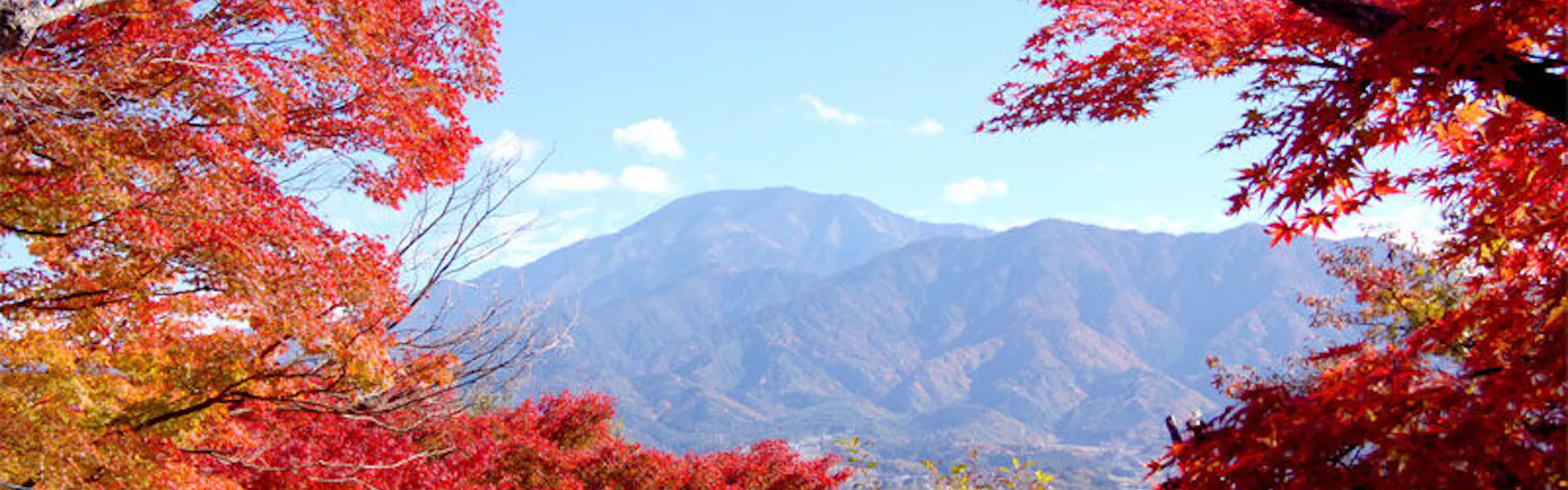 夜がらす山荘 長多喜