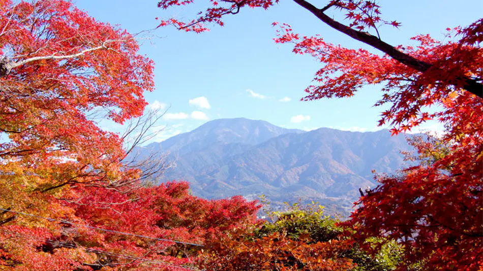 Yogarasu Mountain Lodge Nagataki