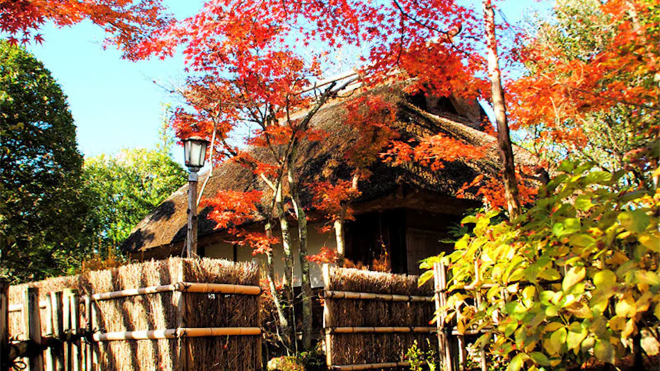 Yogarasu Mountain Lodge Nagataki