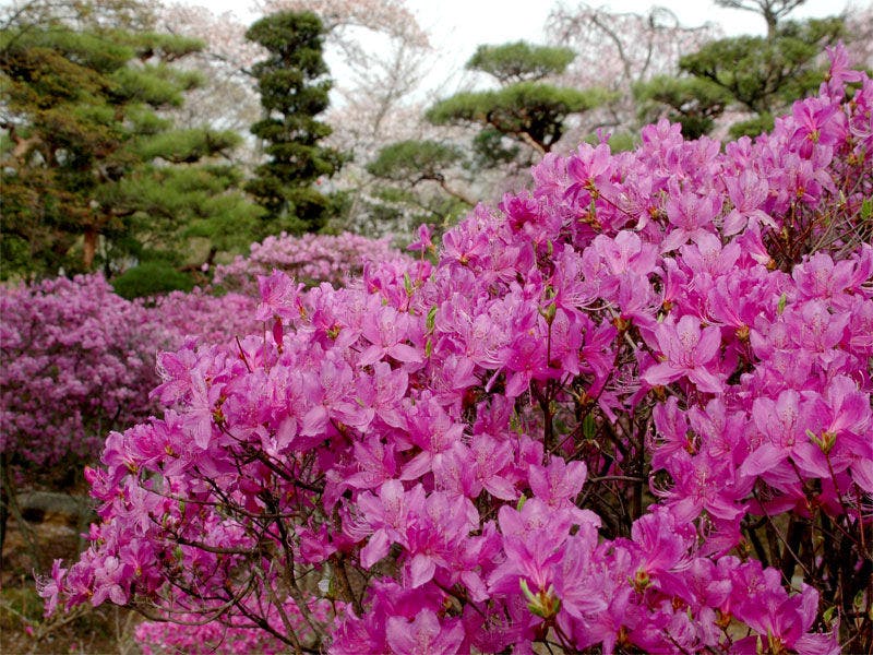 夜がらす山荘 長多喜