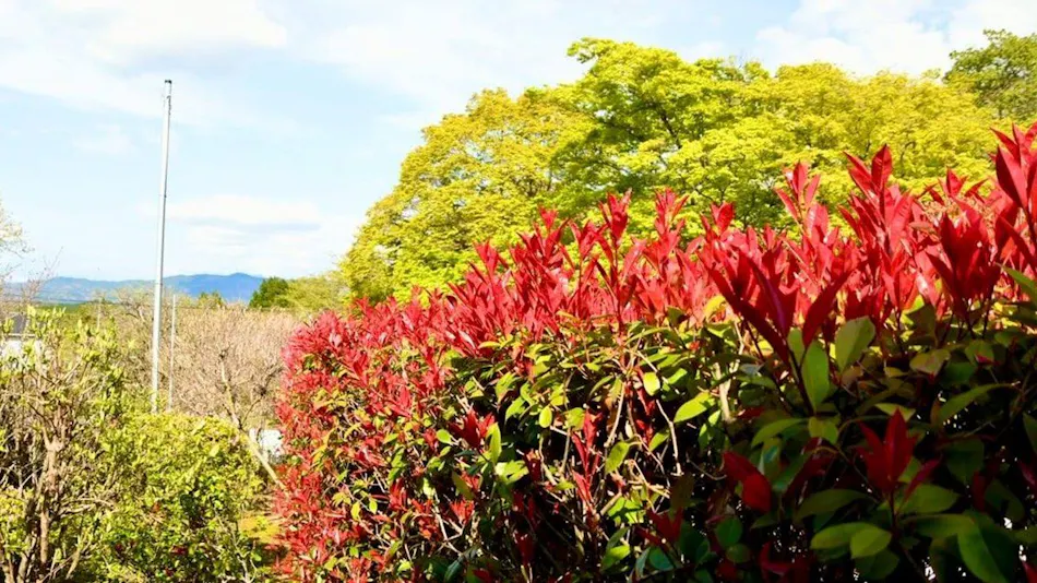 Yogarasu Mountain Lodge Nagataki