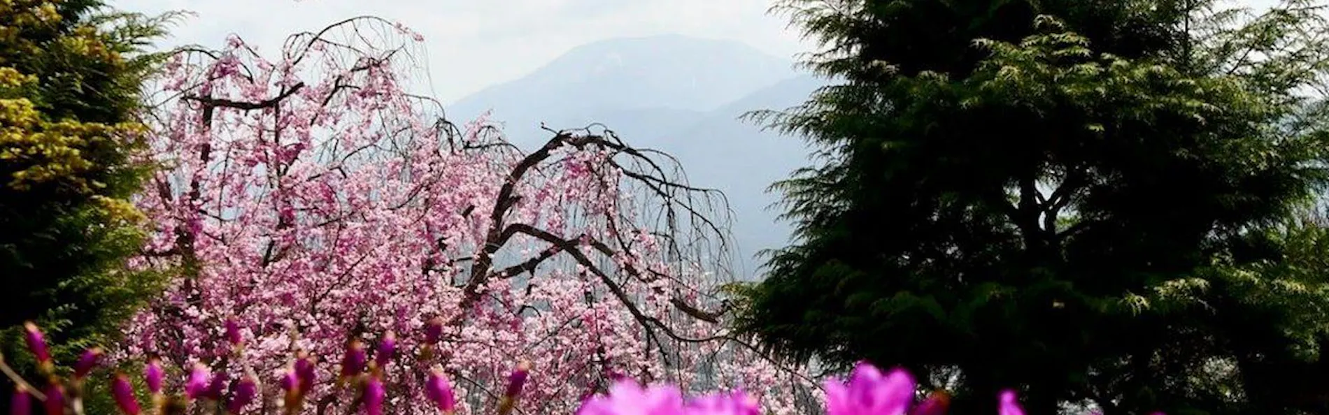 夜がらす山荘 長多喜