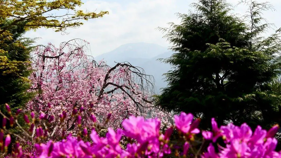 Yogarasu Mountain Lodge Nagataki