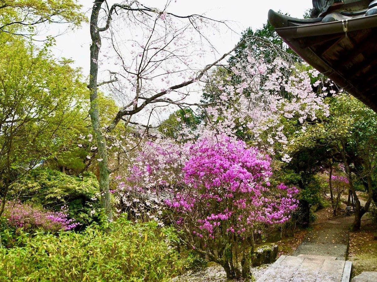 夜がらす山荘 長多喜
