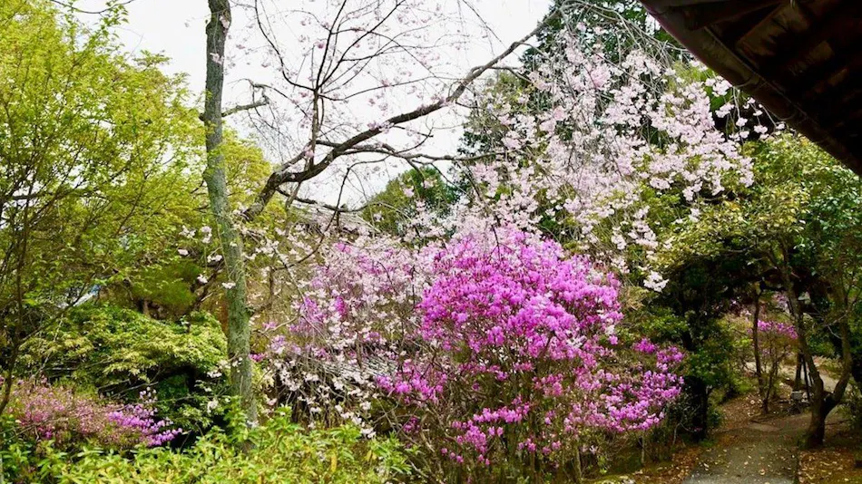 Yogarasu Mountain Lodge Nagataki