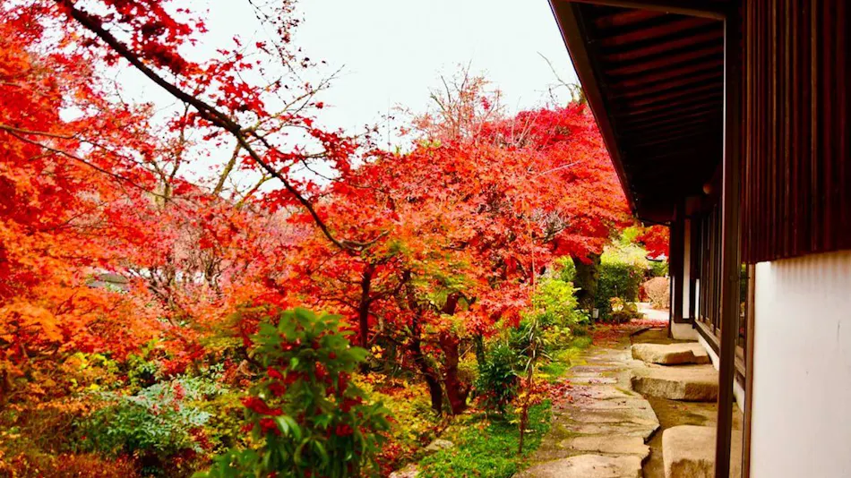 Yogarasu Mountain Lodge Nagataki