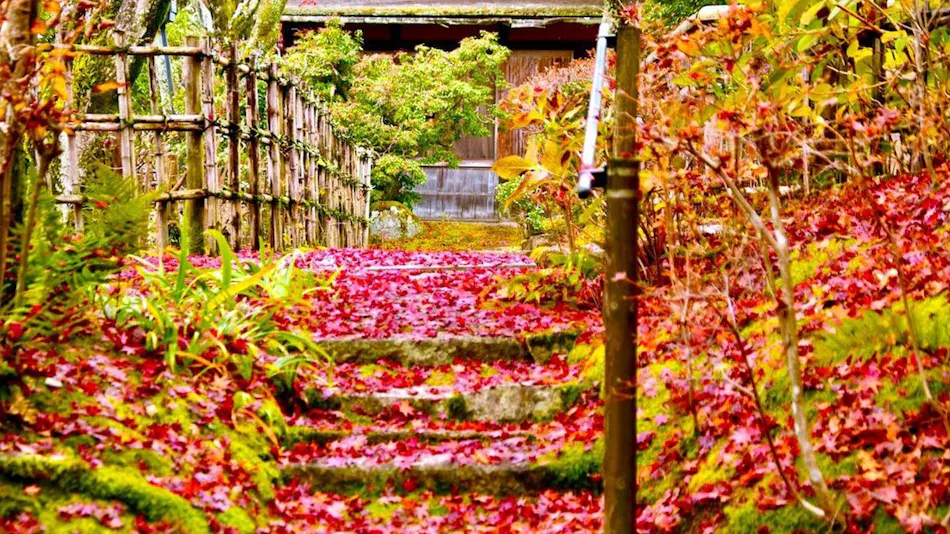 Yogarasu Mountain Lodge Nagataki