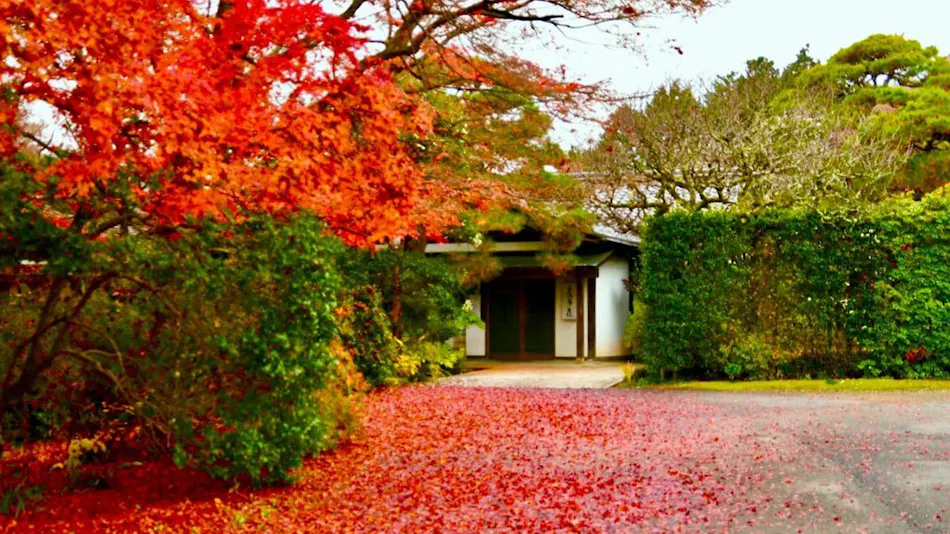 Yogarasu Mountain Lodge Nagataki