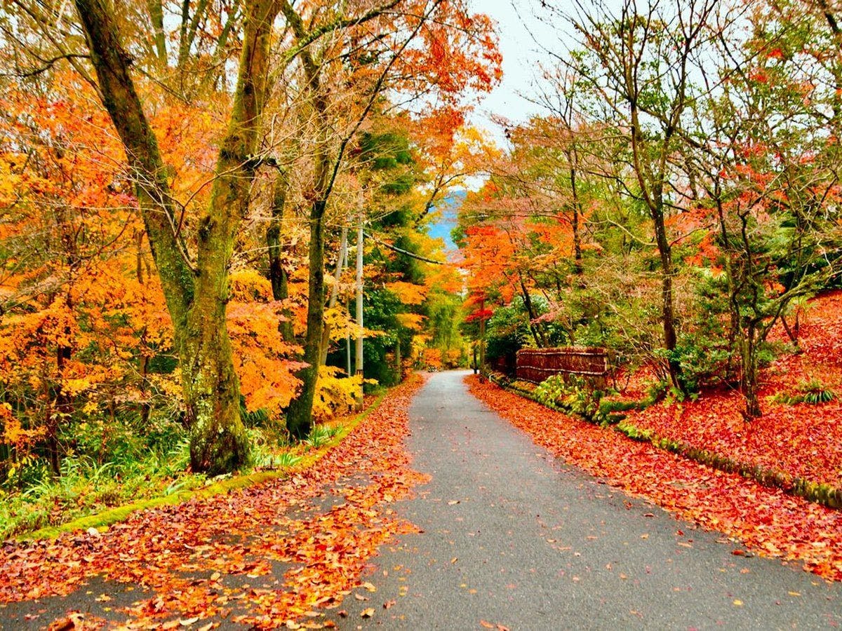 夜がらす山荘 長多喜