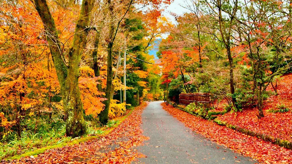 Yogarasu Mountain Lodge Nagataki