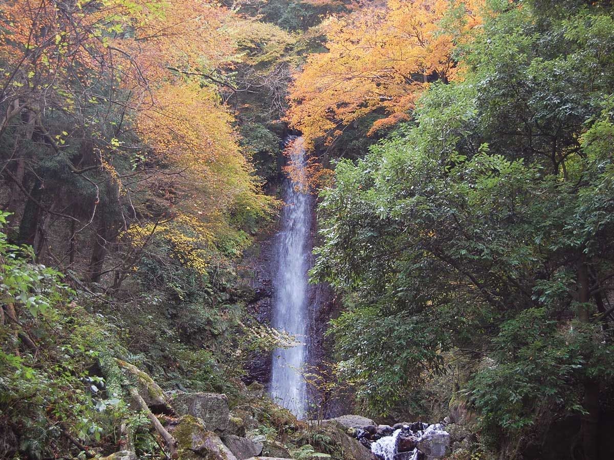 น้ำตกโยโร