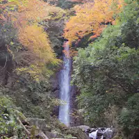 น้ำตกโยโร