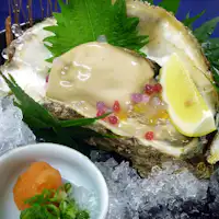 夏の味覚 岩ガキ