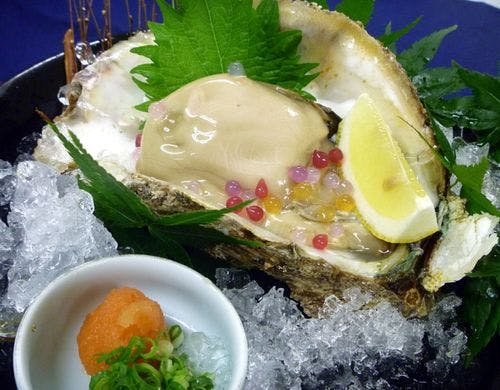 夏の味覚 岩ガキ