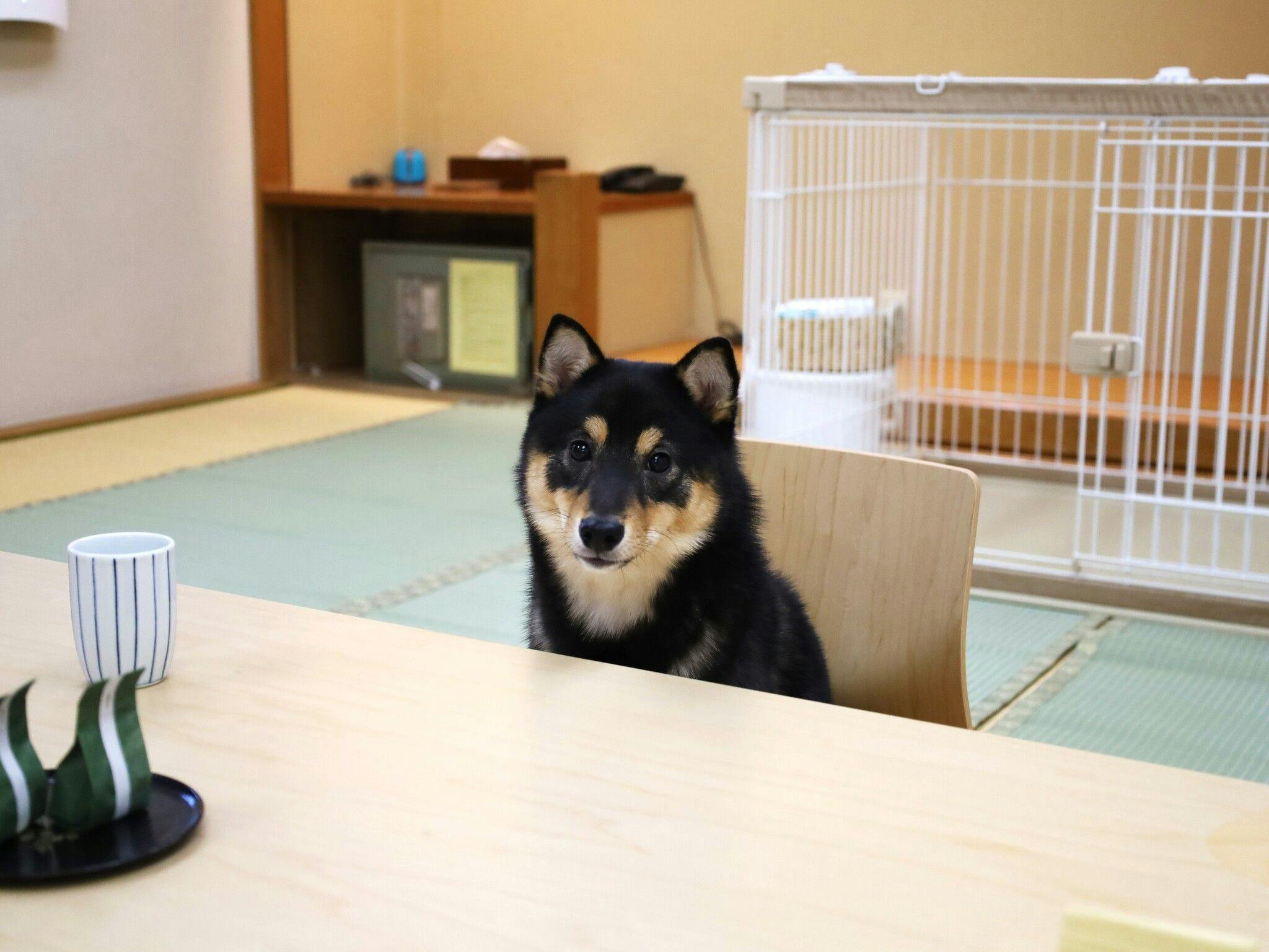 伊東小涌園（藤田観光リゾート）