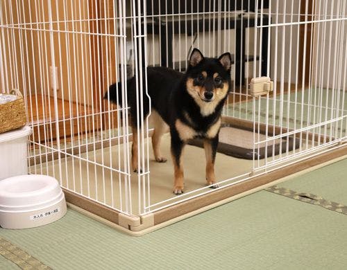 ペットプラン用和室