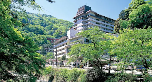 Hakone Yumoto Onsen Hotel Okada