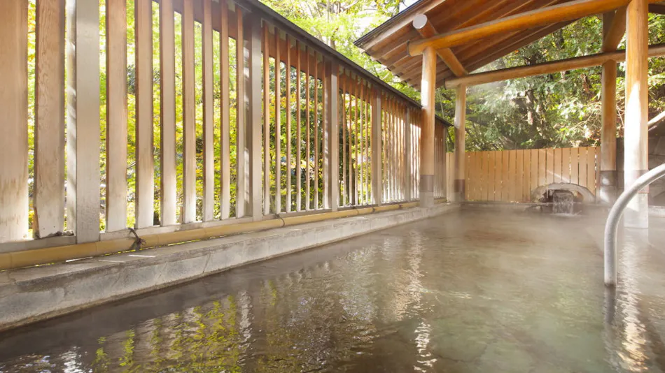 Hakone Yumoto Onsen Hotel Okada