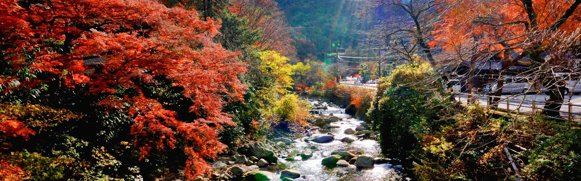 箱根湯本温泉 ホテルおかだ