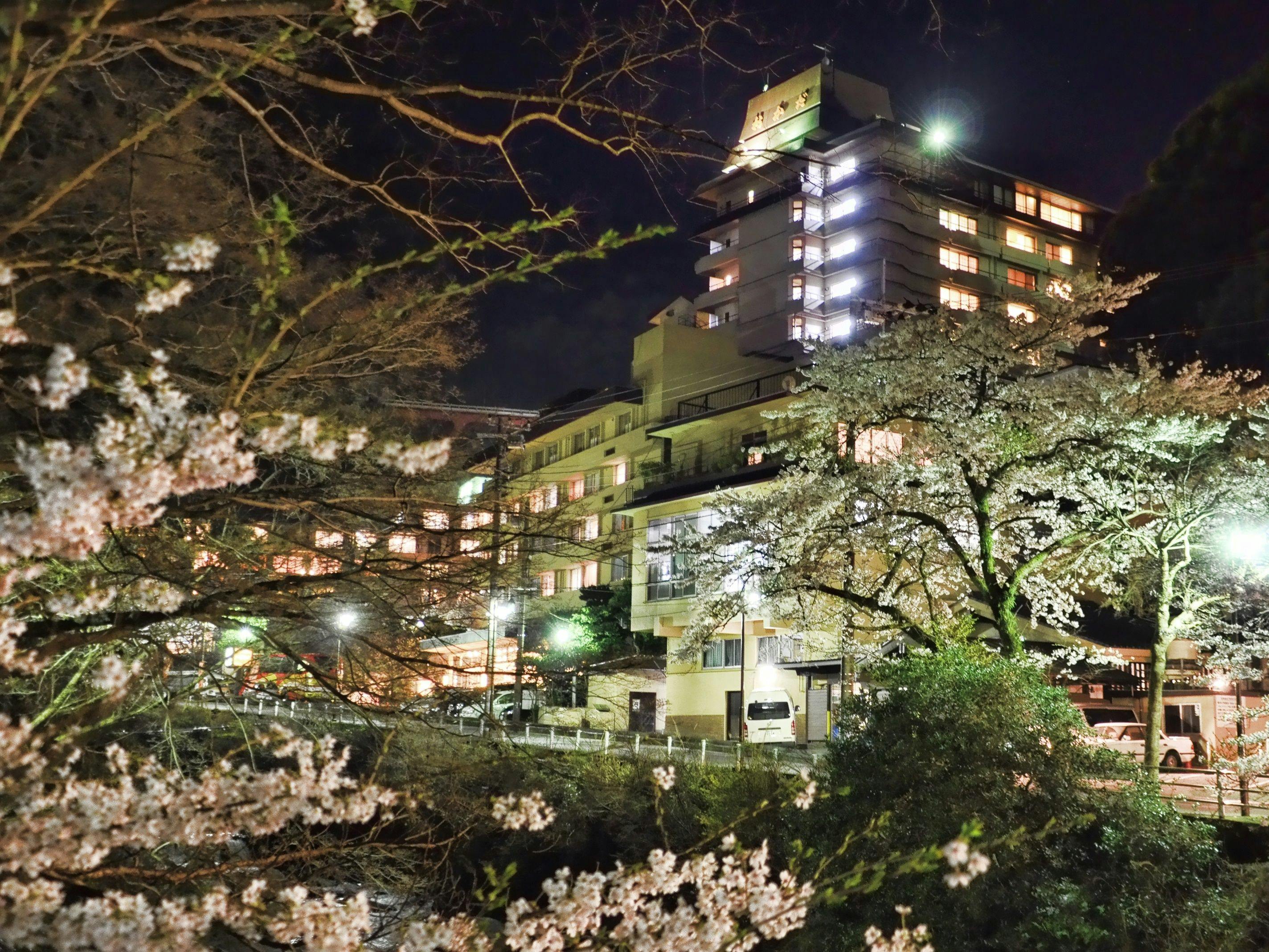 箱根湯本温泉 ホテルおかだ
