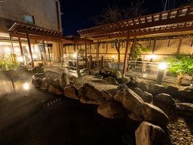 富士山の見える温泉旅館　大池ホテル