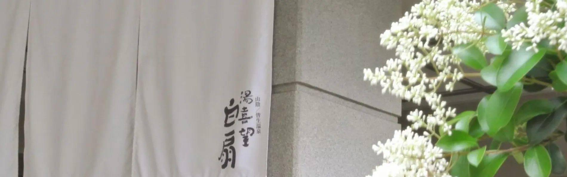 湯喜望 白扇