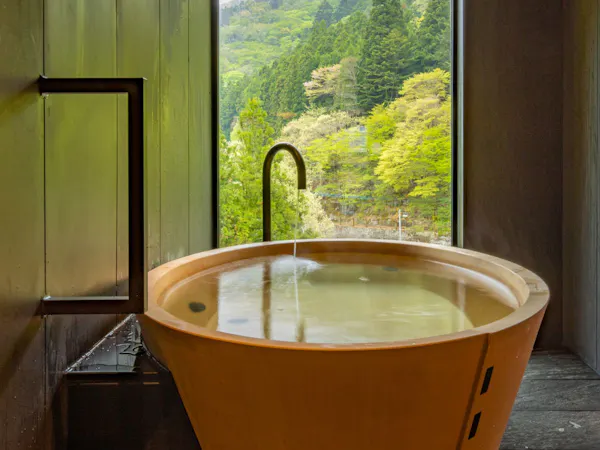 【絶景貸切風呂1回無料】四万の景色と温泉をひとりじめ!和洋中バイキング\ソフトドリンク飲み放題/
