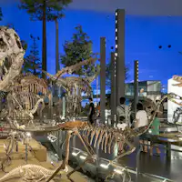 【恐竜博物館】