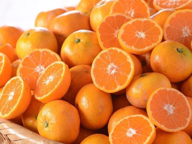 休暇村 瀬戸内東予