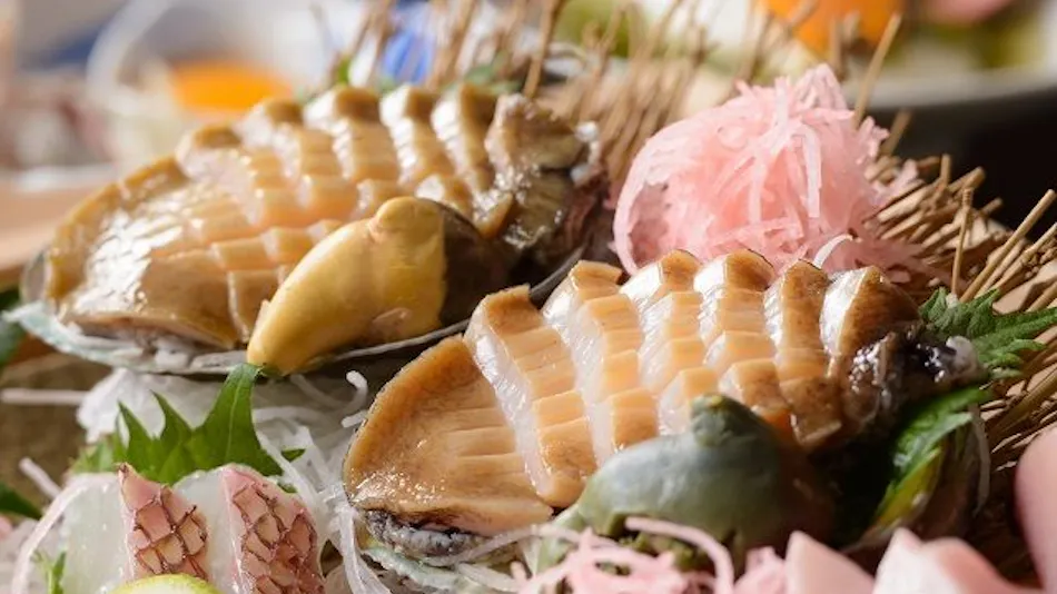 Kyukamura Setouchi-Toyo