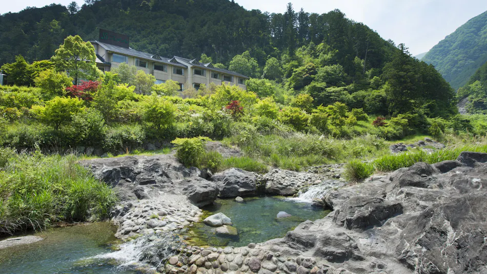 Wan Wan Paradise Matsusaka