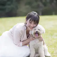 ขอให้สนุกกับการเดินทางกับน้องหมาของคุณ!