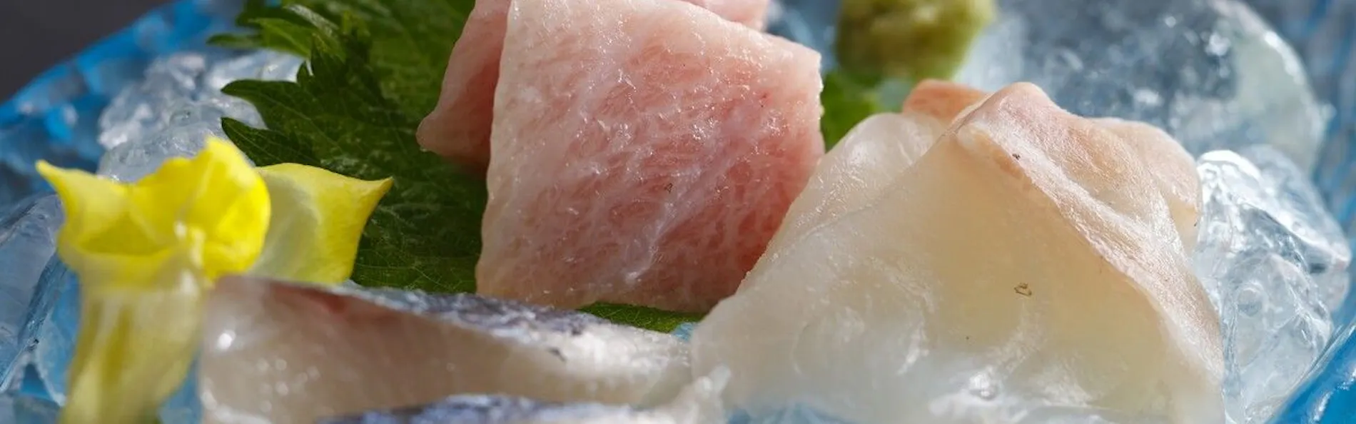 わんわんパラダイス 松阪(旧:松阪わんわんパラダイス 森のホテルスメール)