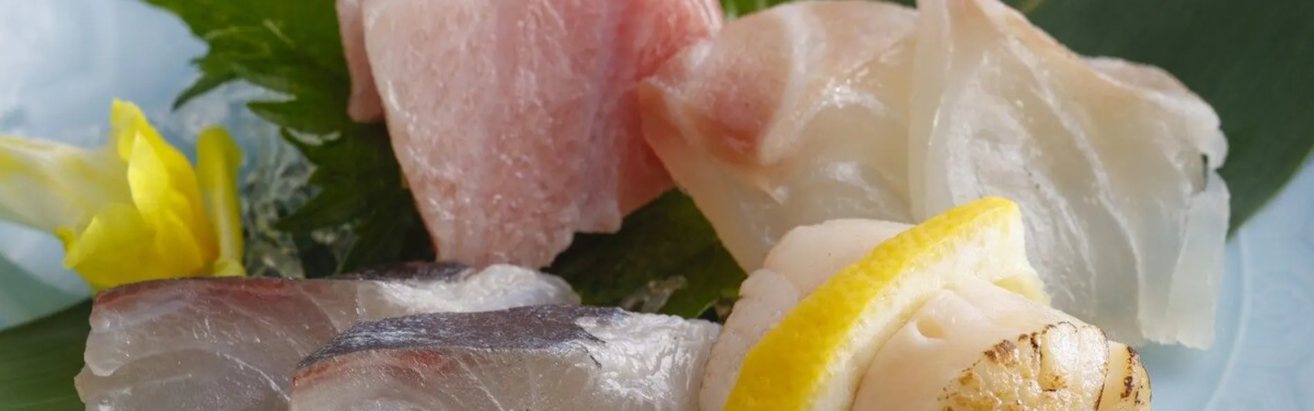 わんわんパラダイス 松阪(旧:松阪わんわんパラダイス 森のホテルスメール)