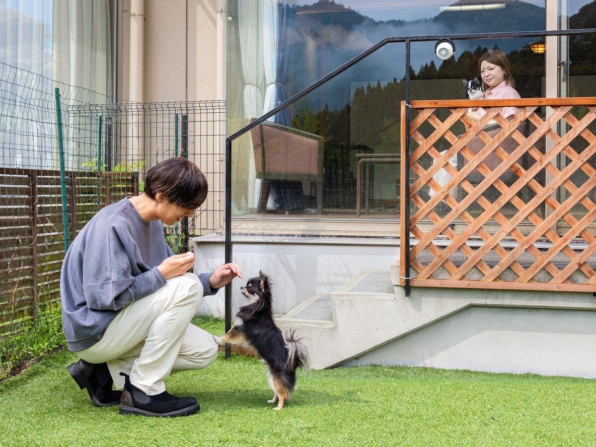 わんわんパラダイス 松阪（旧：松阪わんわんパラダイス 森のホテルスメール）