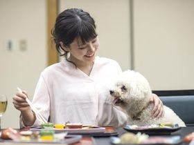 松阪わんわんパラダイス 森のホテルスメール