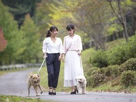 松阪わんわんパラダイス 森のホテルスメール