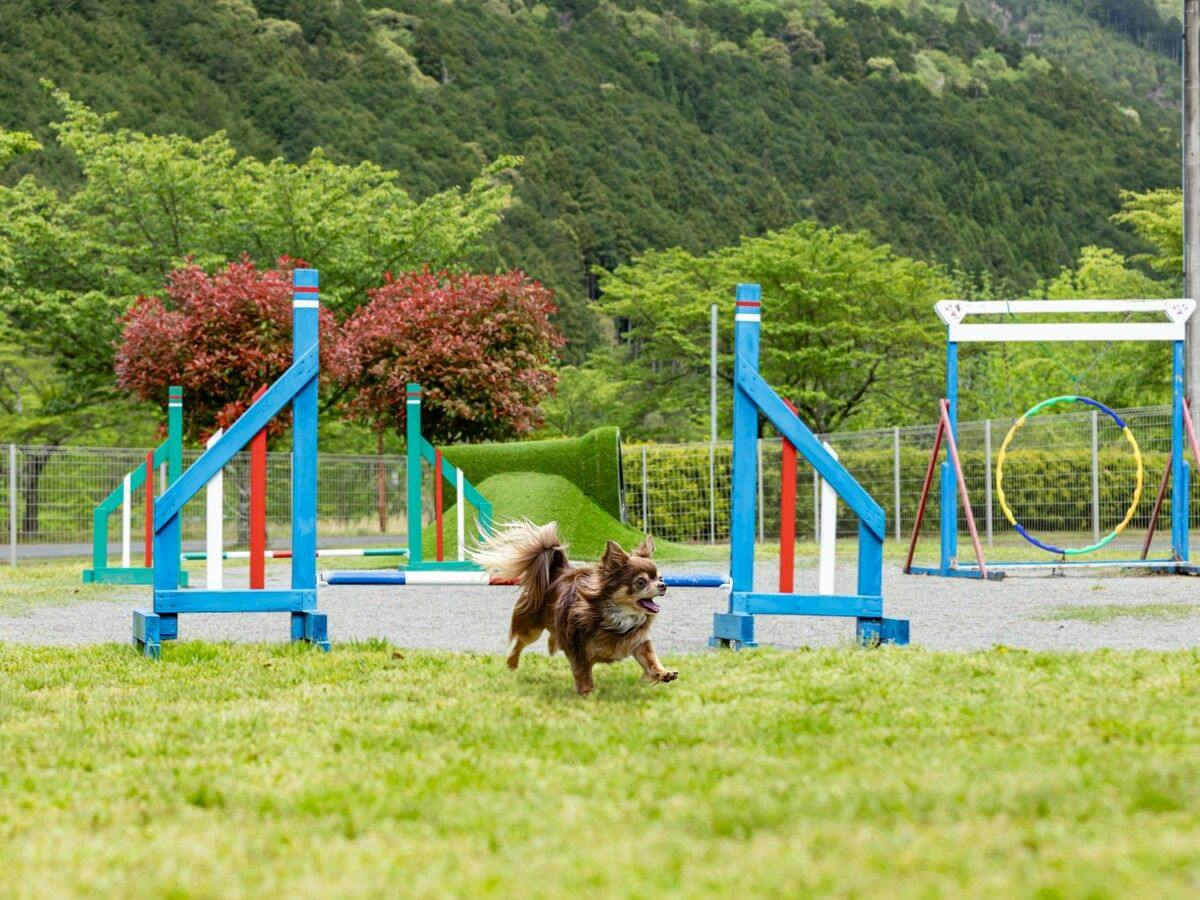 Wan Wan Paradise Matsusaka