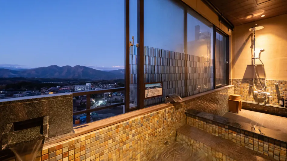 Hotel Matsumotoro